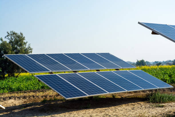 Affordable Solar Companies for Residential and Commercial Needs
