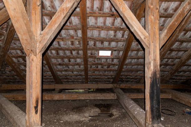 Protect Your Home with Expert Crawl Space Insulation Services