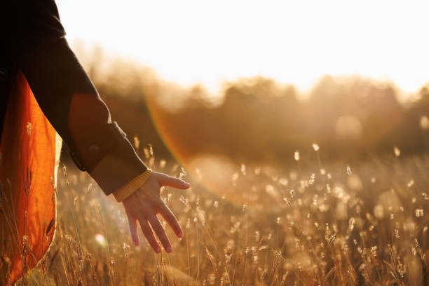 The Role of Antioxidants in Everyday Wellness