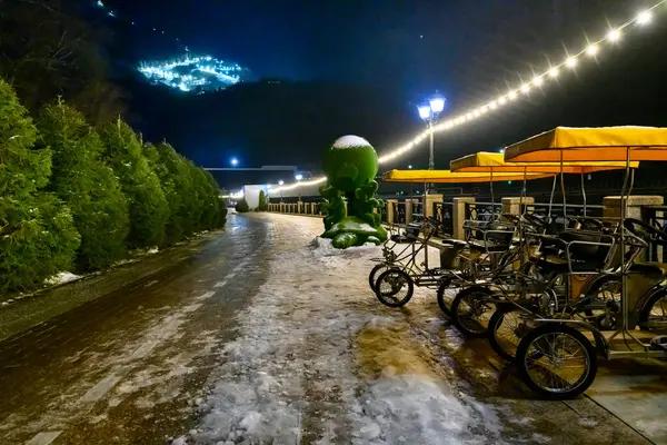 The Surge of Winter Rentals and Its Impact on Travel Trends