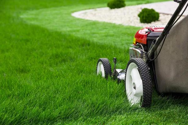 Expert Lawn Care Service for a Healthy, Green Yard