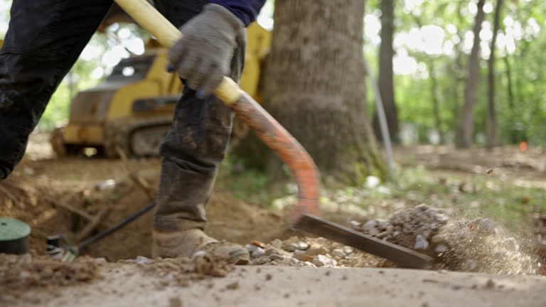 The Environmental Impact of Construction and Excavation Projects