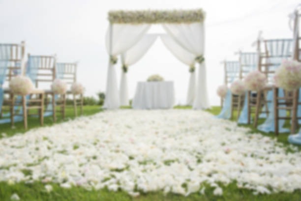 Custom Pergola Systems That Add Style, Shade, and Property Value