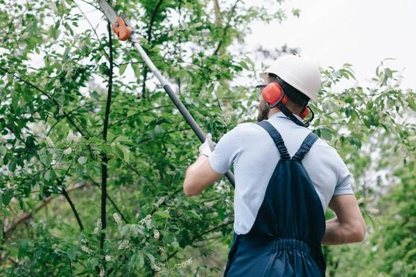 Professional Arborist Rockford for Tree Inspection and Care Solutions