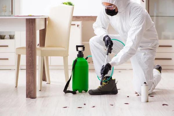 Expert Lawn Pest Control for Stronger, Healthier Turf
