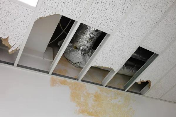 Trusted Water Damage Repair and Restoration Experts