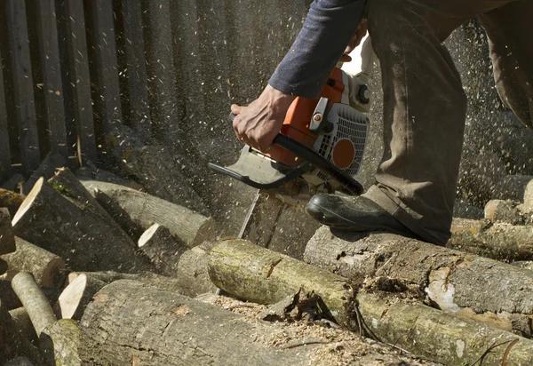 Complete Tree Services to Keep Your Landscape Looking Great