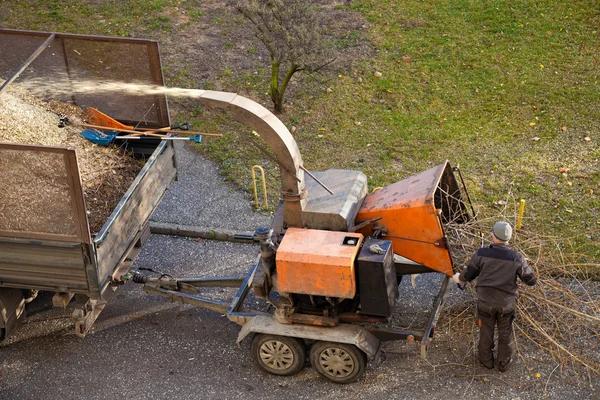 Trusted Tree Service Madison for Complete Tree Care